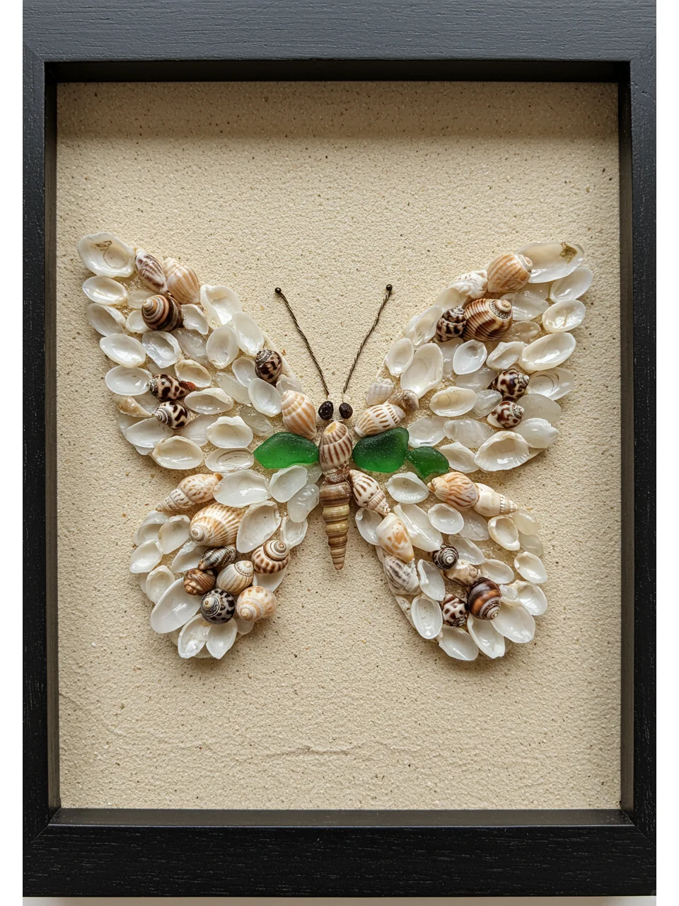 ?一秒穿越到海边!?贝壳DIY蝴蝶?