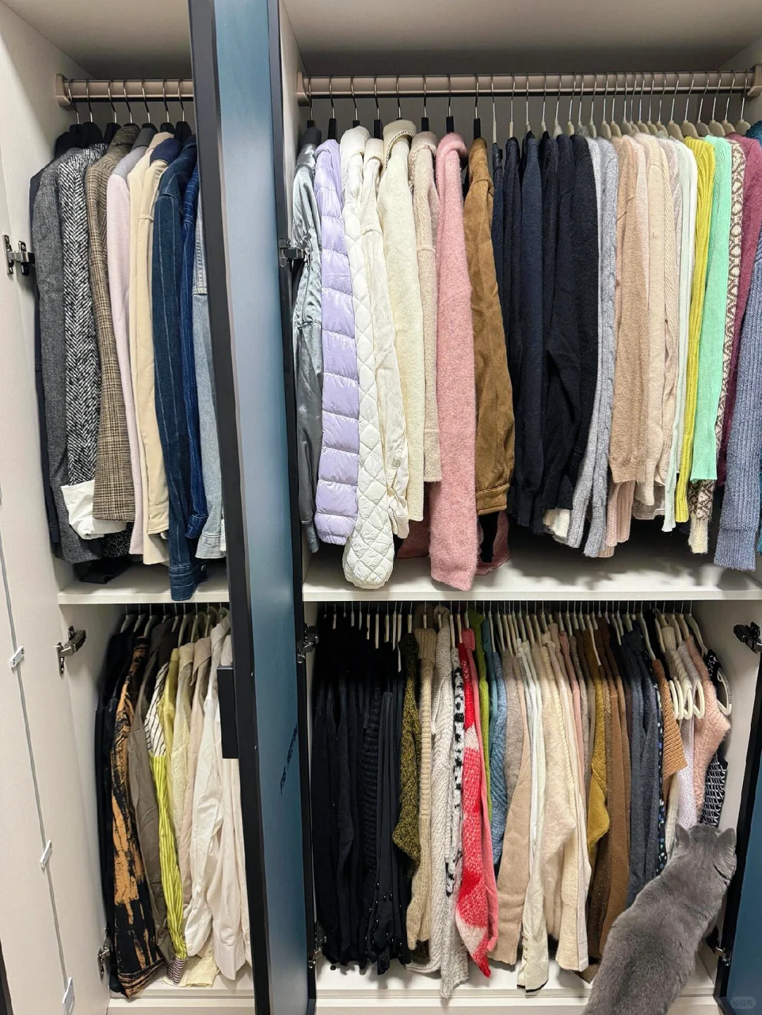 收纳小能手上线?