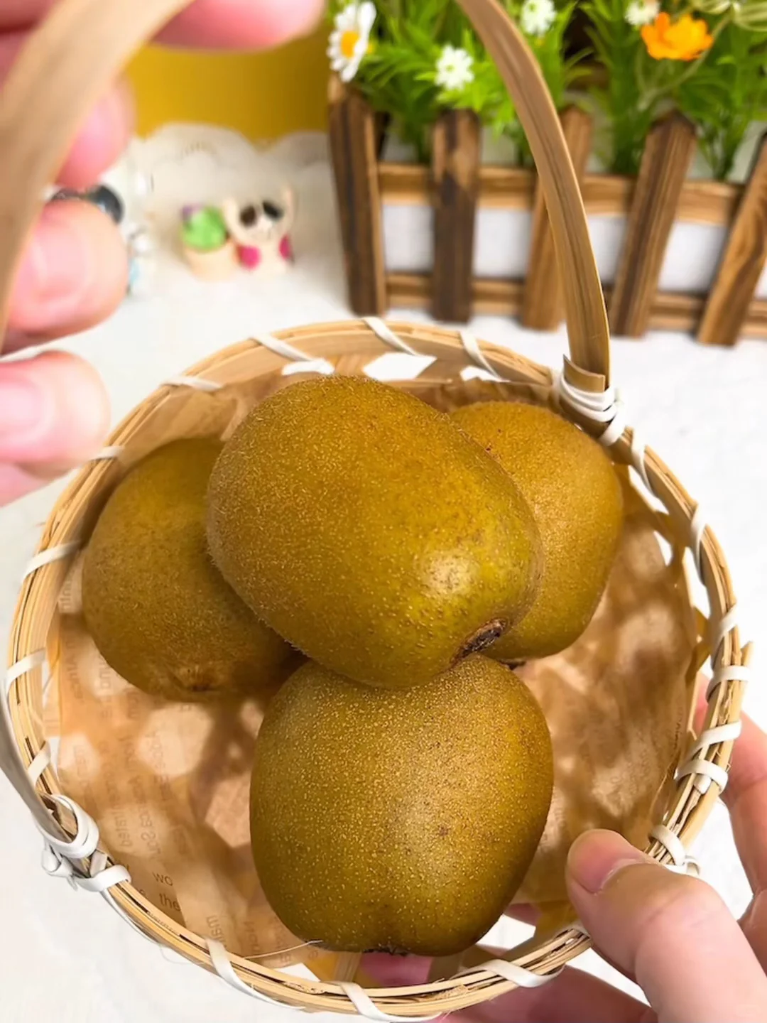 激动的心颤抖的手，好吃的猕猴桃?强势回归