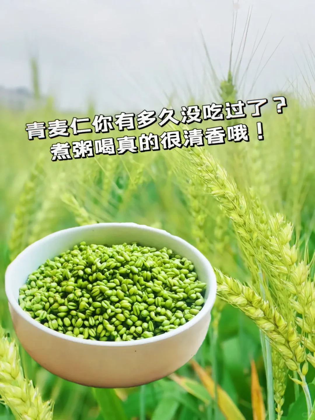 我要告诉所有的南方小姐妹！