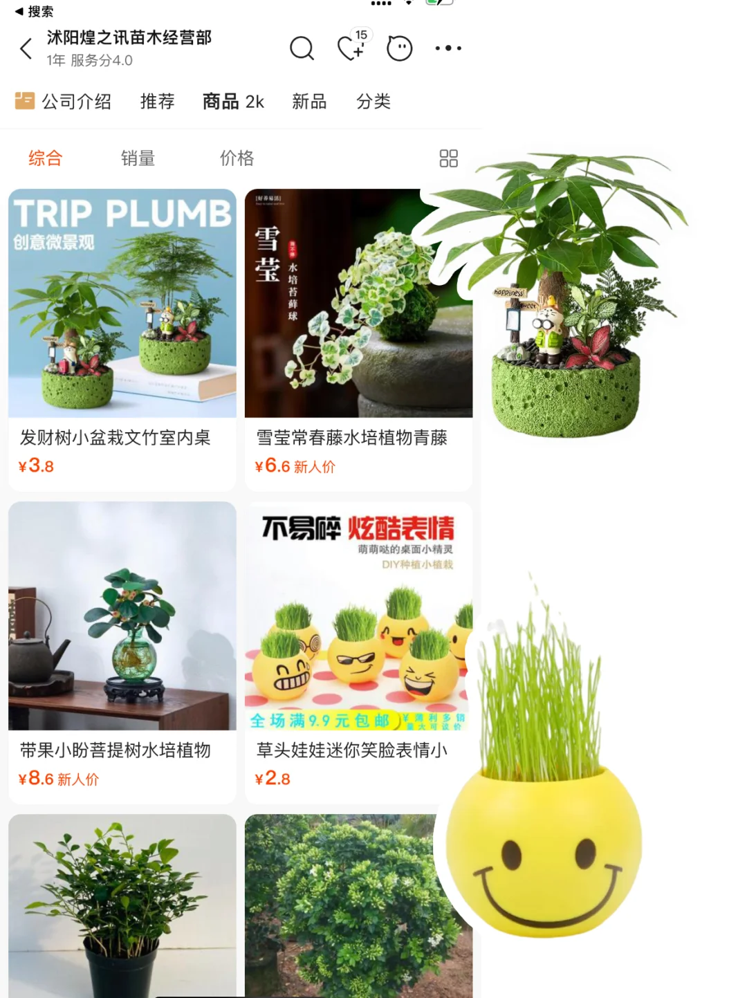 share|5⃣️家小众创意盆栽?货源店铺