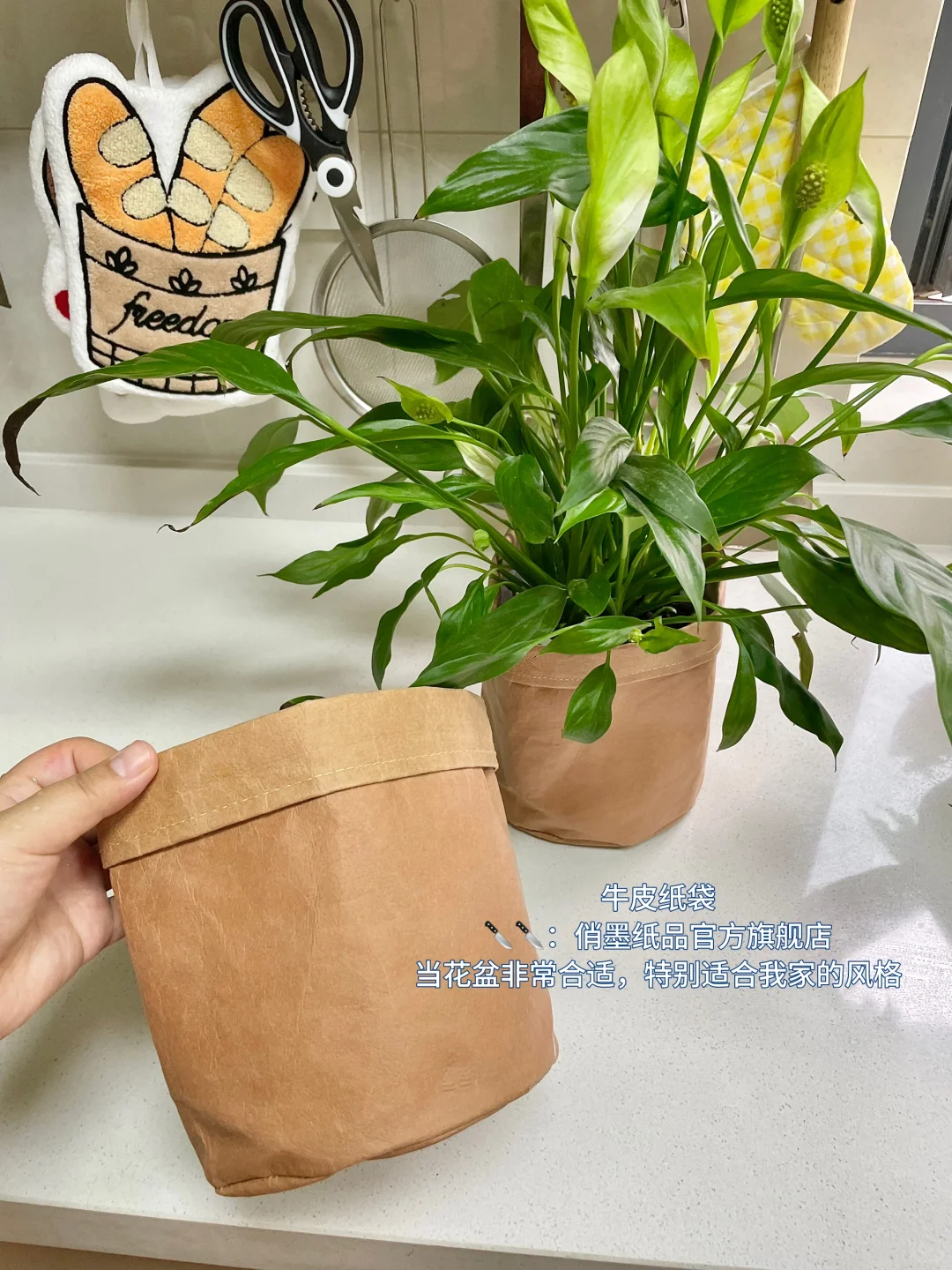 千呼万唤的厨房好物清单来啦❗️快来抄作业❗️