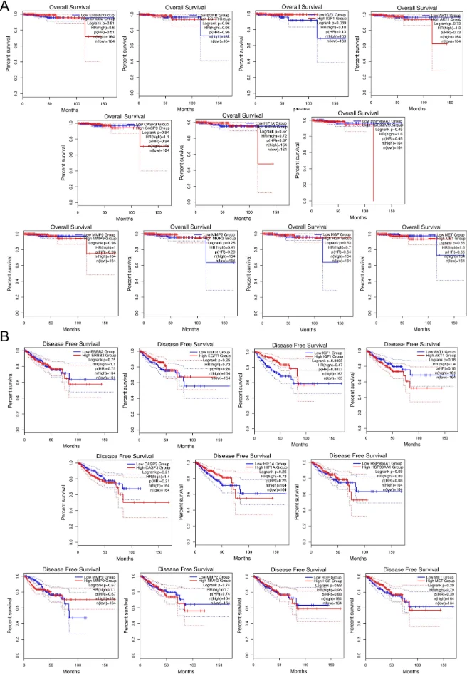 IF8.7网络药理学+生物信息学