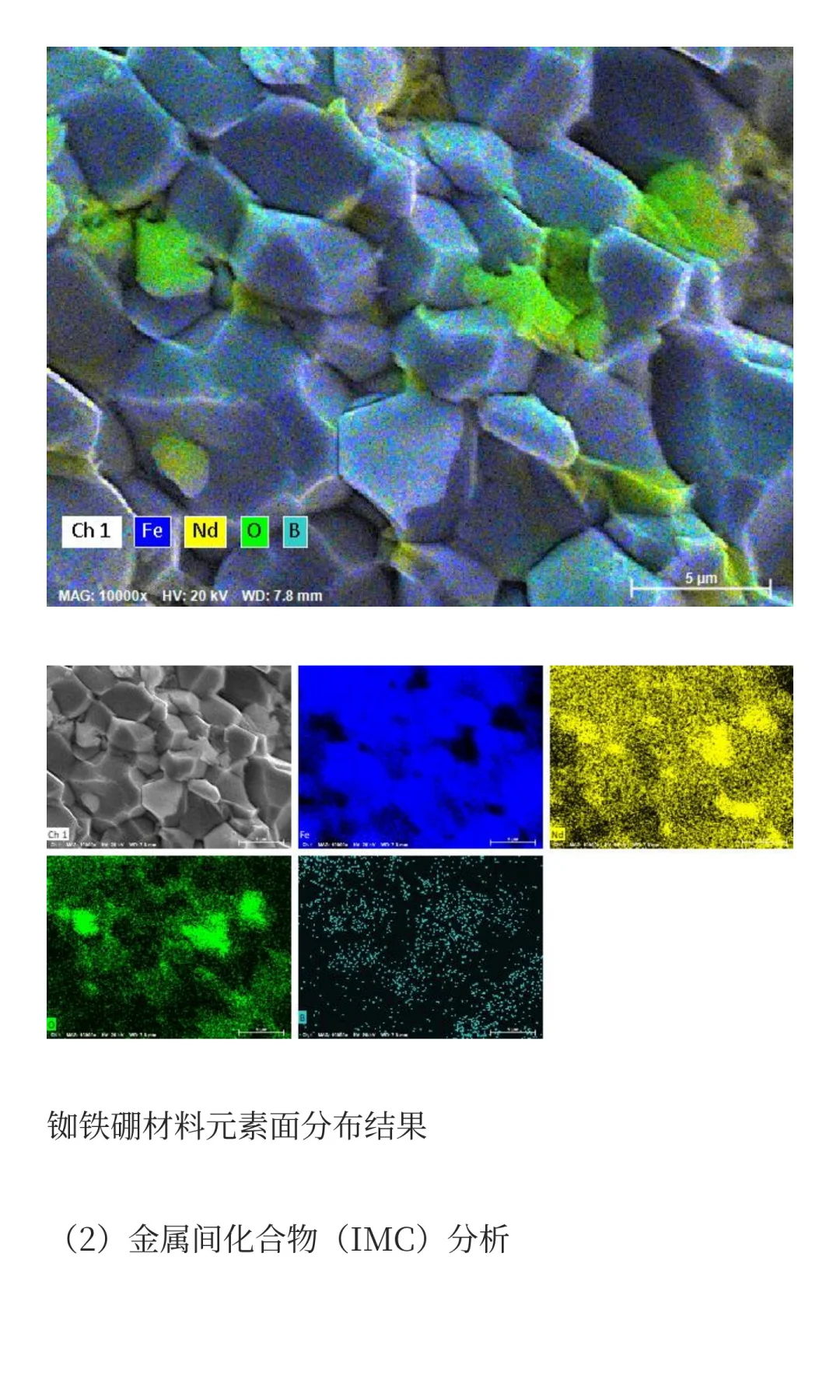 SEM扫描电镜攻略:从需求到选型的核心逻辑