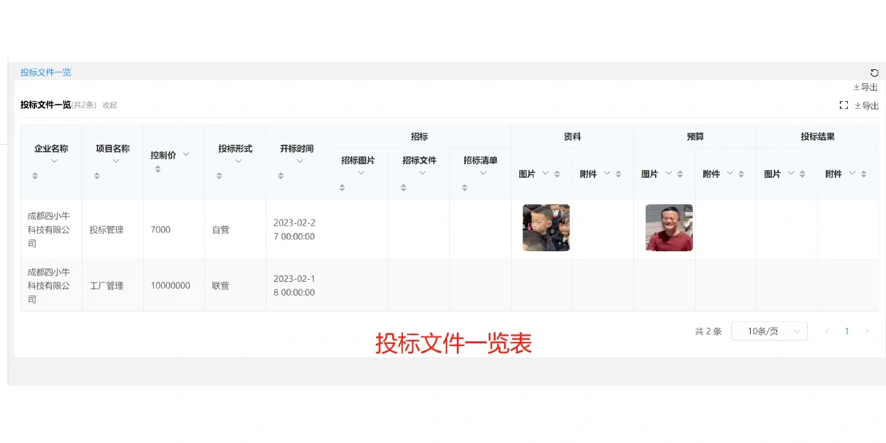 一个人，72小时打造，投标管理系统