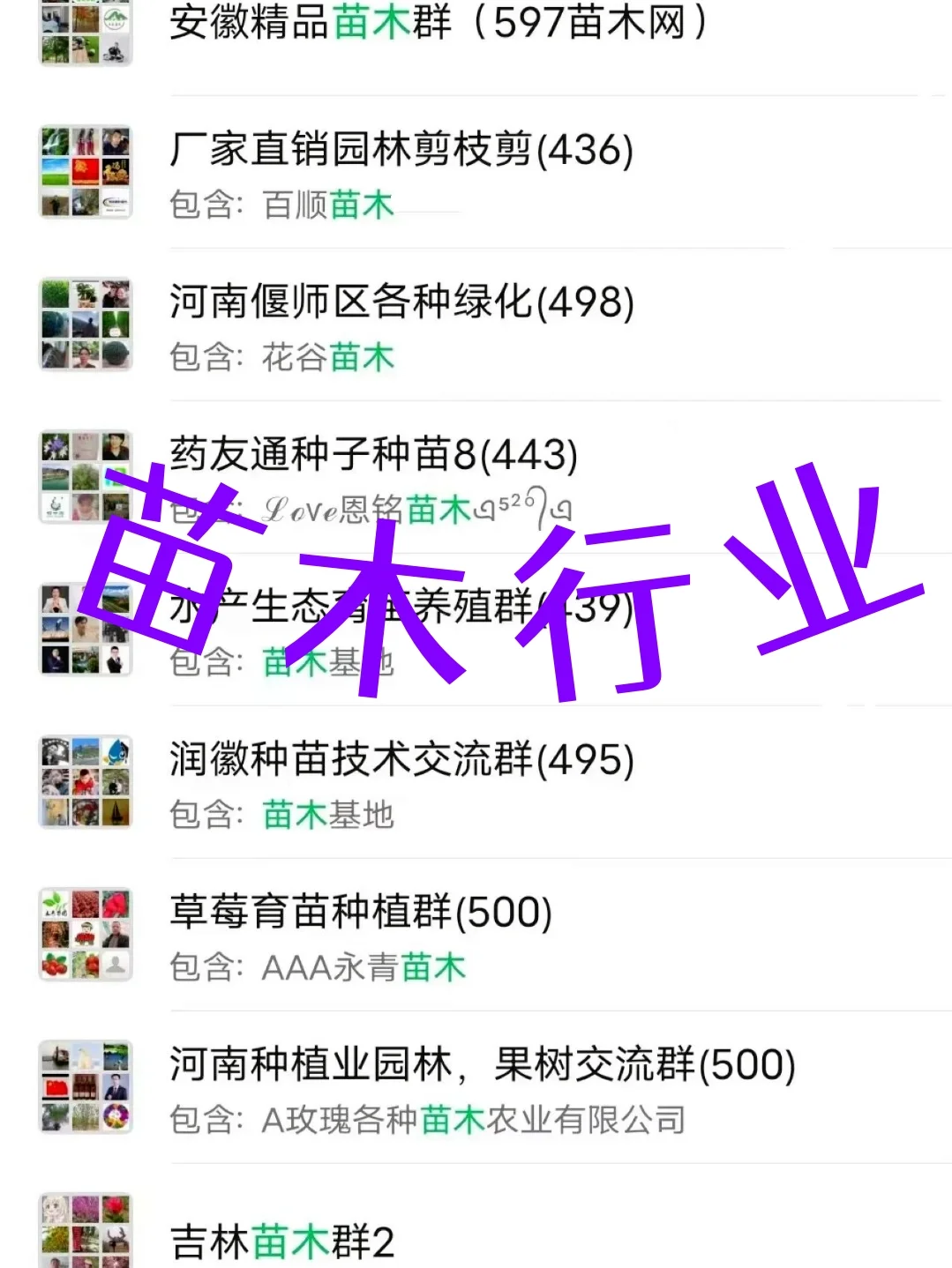 ?苗木人必存！全国苗木种苗资源群开放！