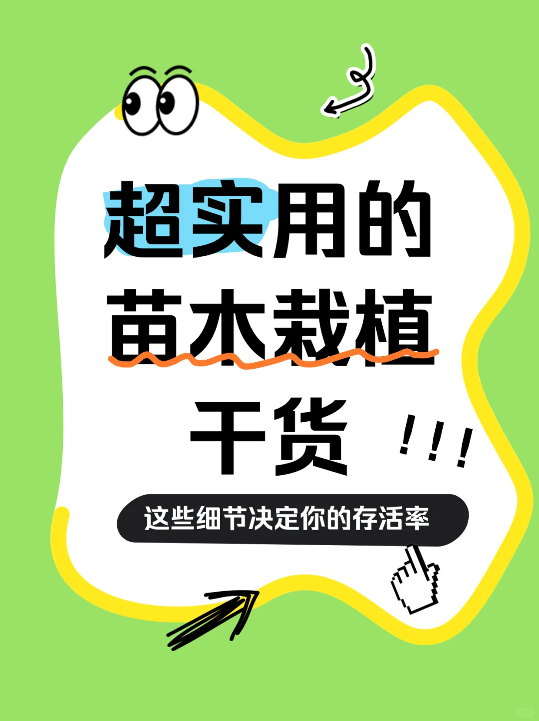 ?苗木栽植干货分享！这些细节决定存活率