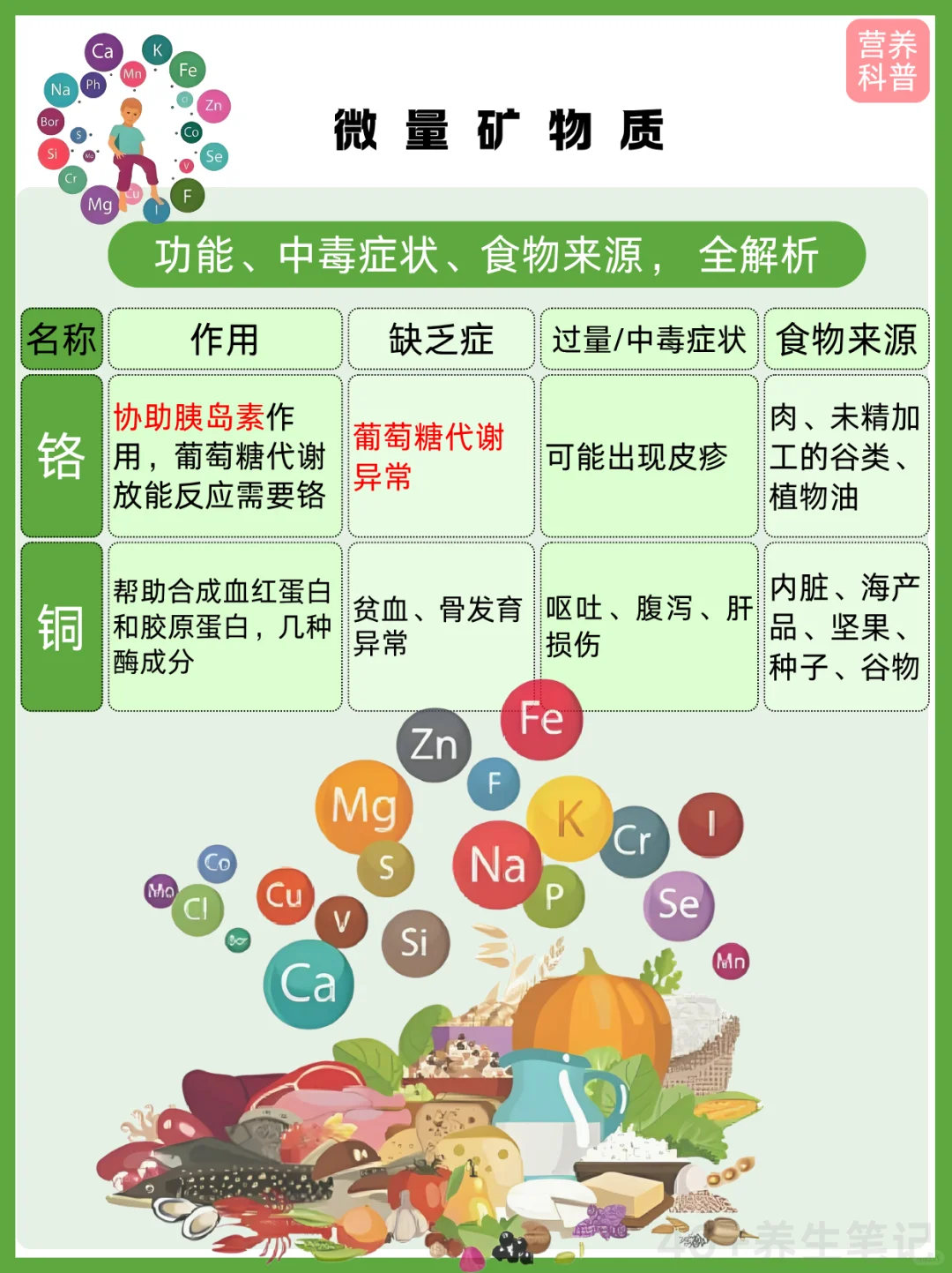 人体必需七大营养素之一,矿物质,全面解读