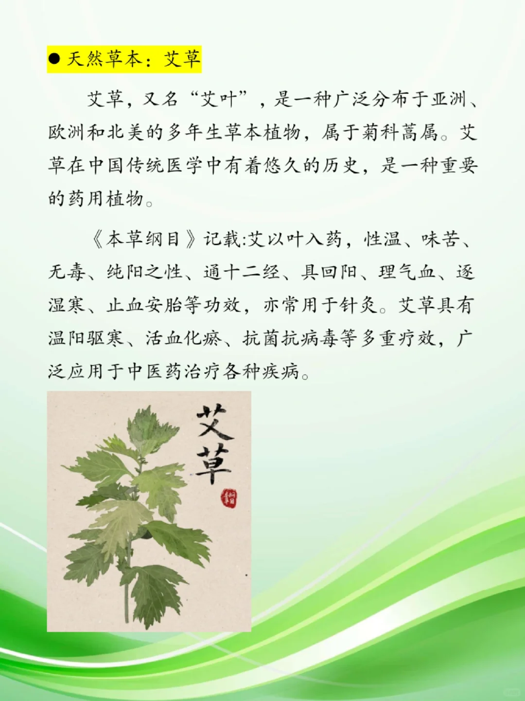 植物功能纱~艾草纤维纱线