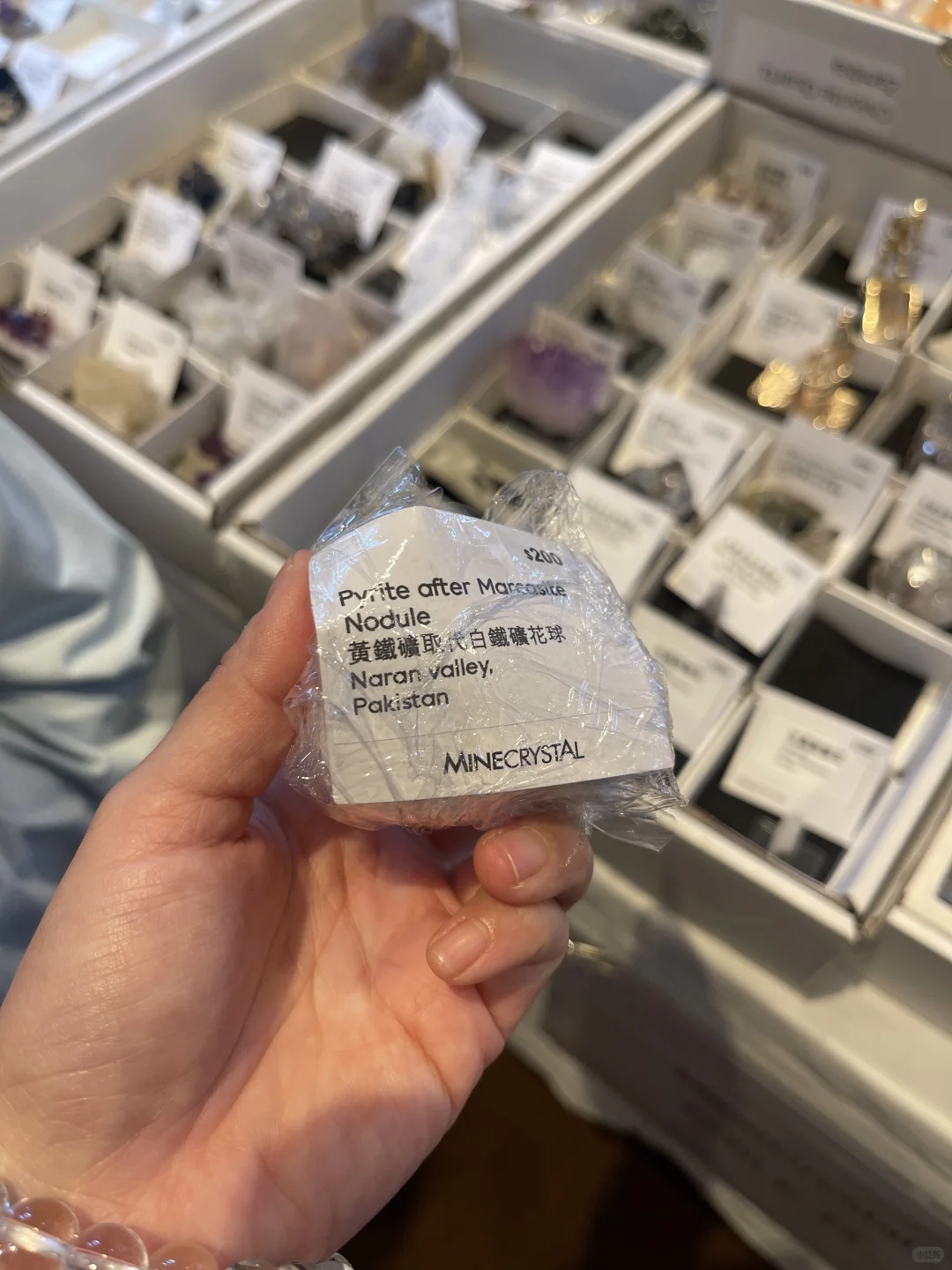 快閃香港礦物展~