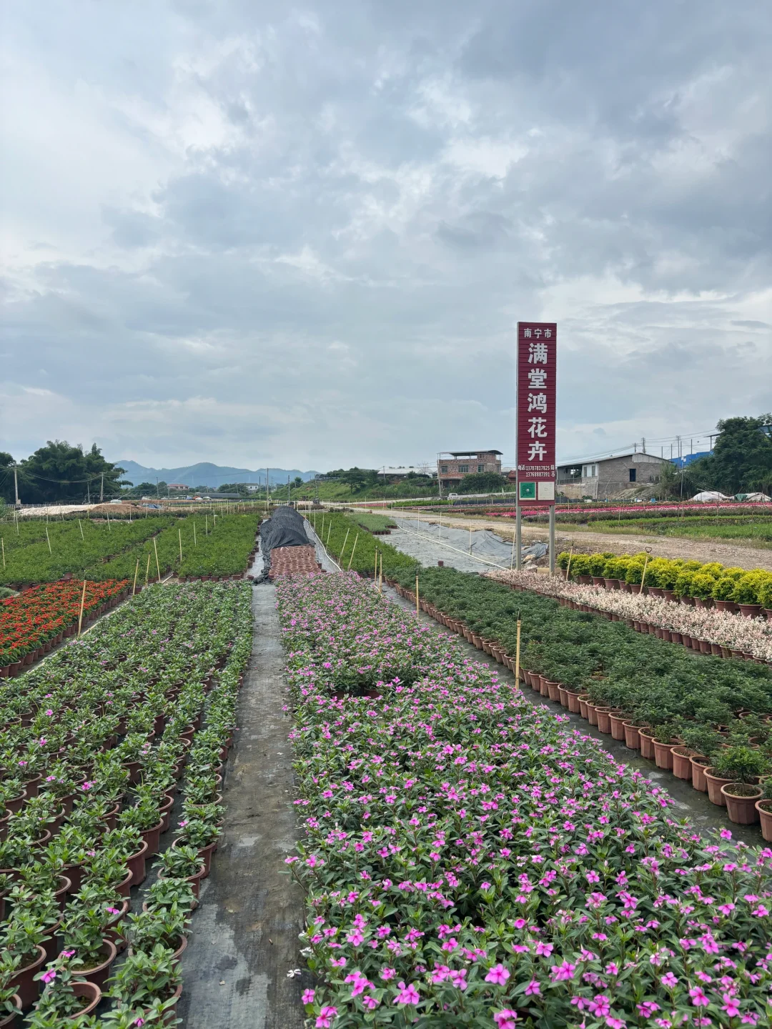 园林养护牛马日常