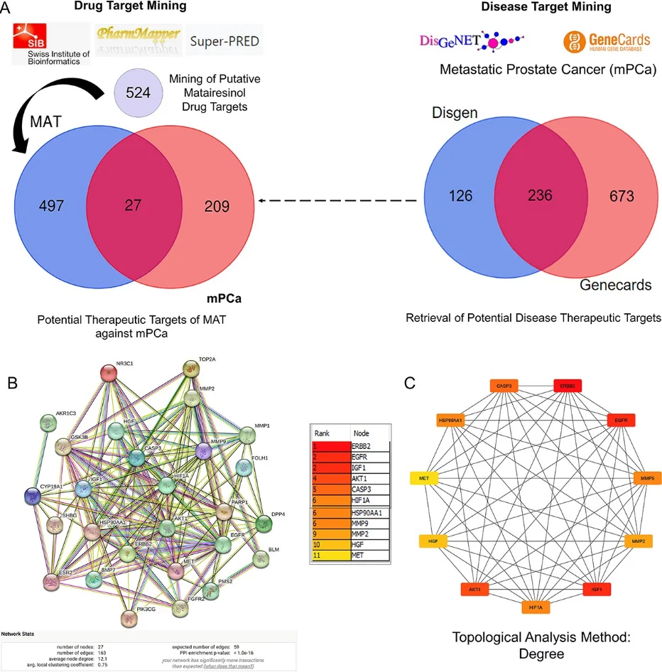 IF8.7网络药理学+生物信息学