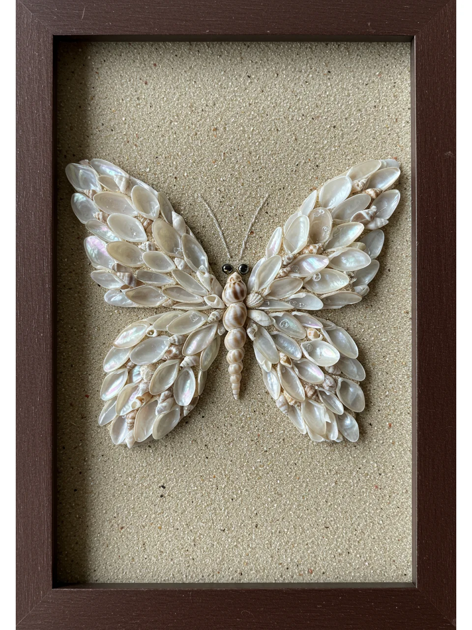 ?一秒穿越到海边!?贝壳DIY蝴蝶?