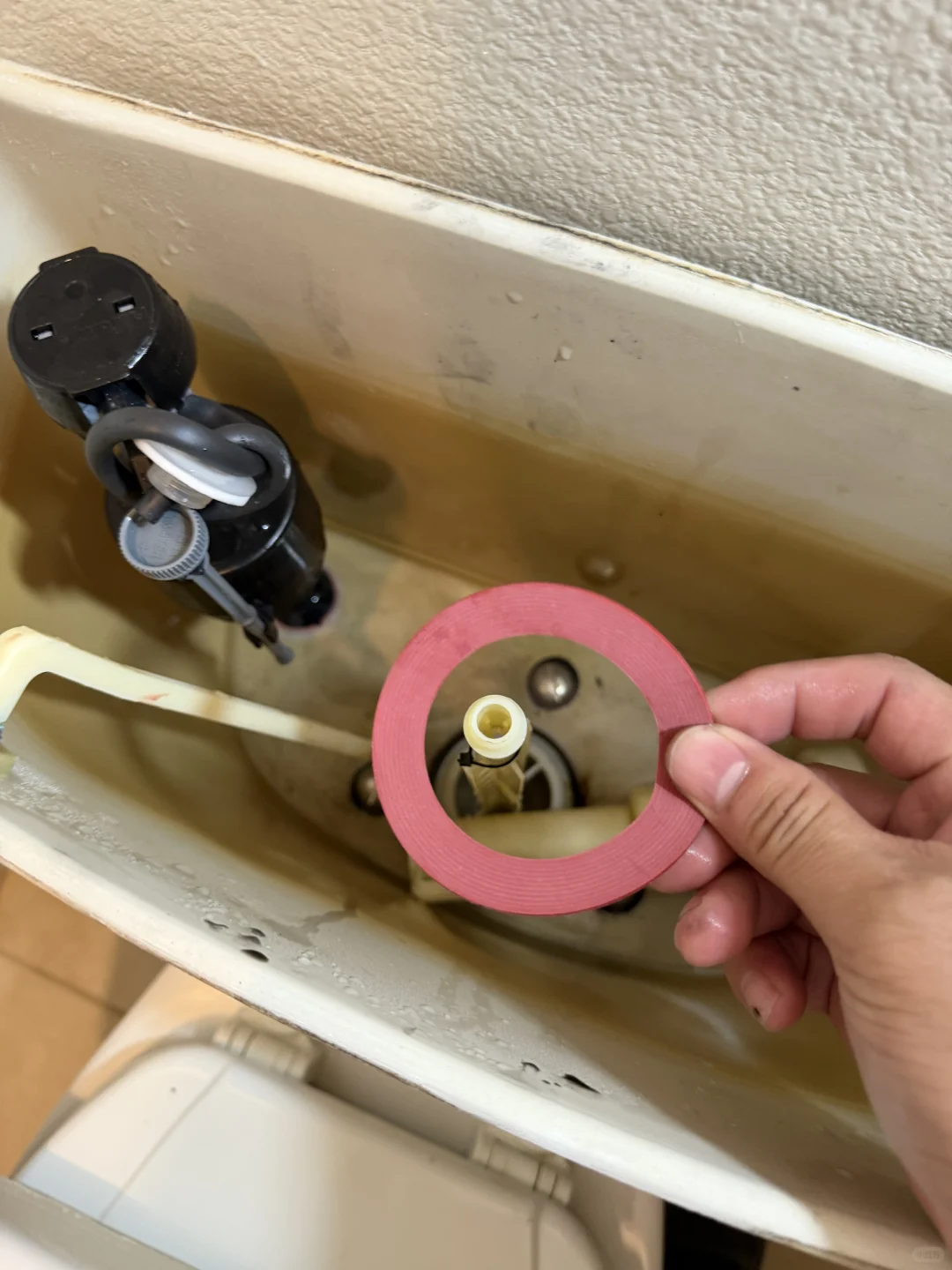 马桶漏水维修 + 电灯短路排查