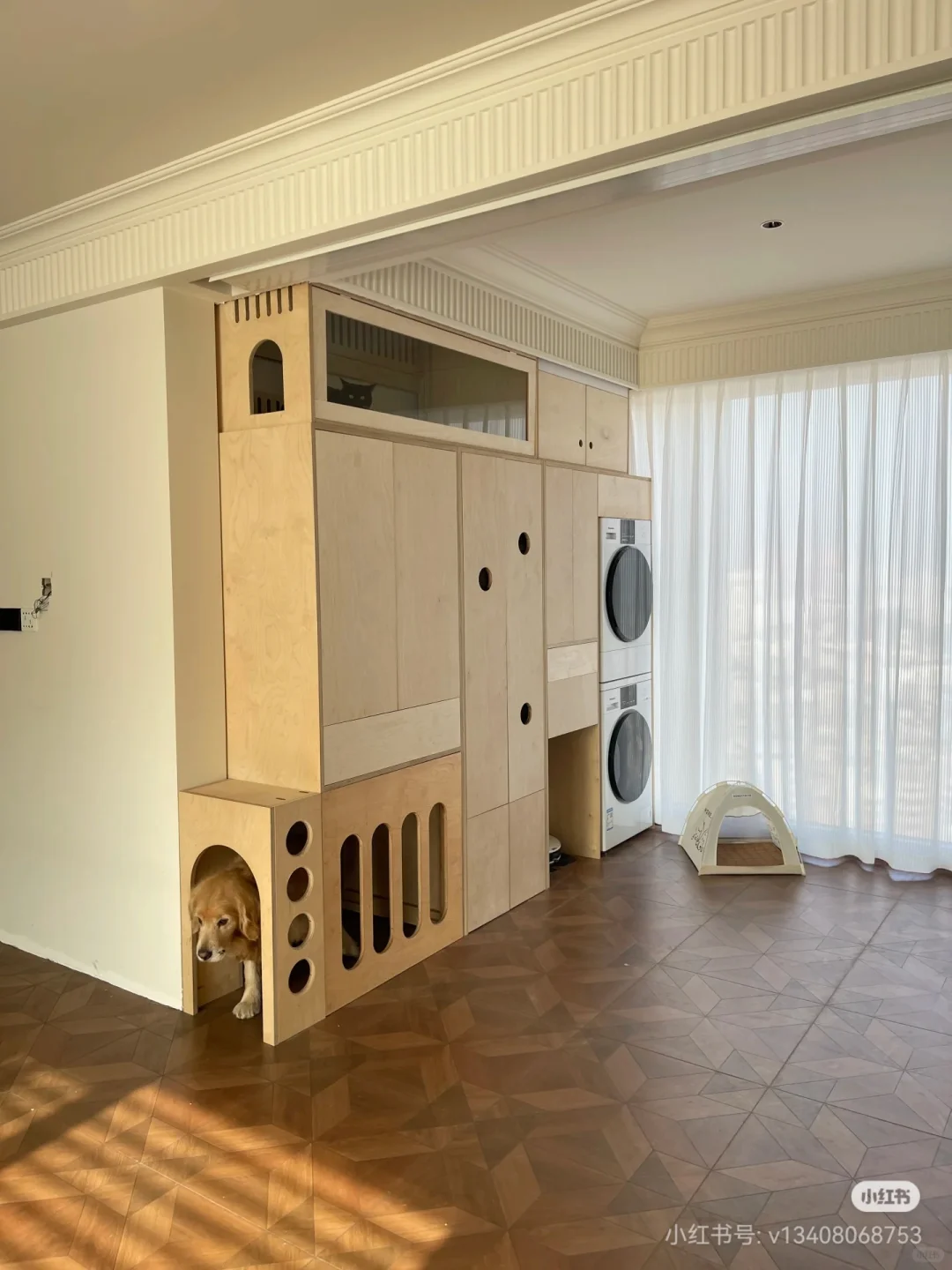 为狗狗设计的家中小角落