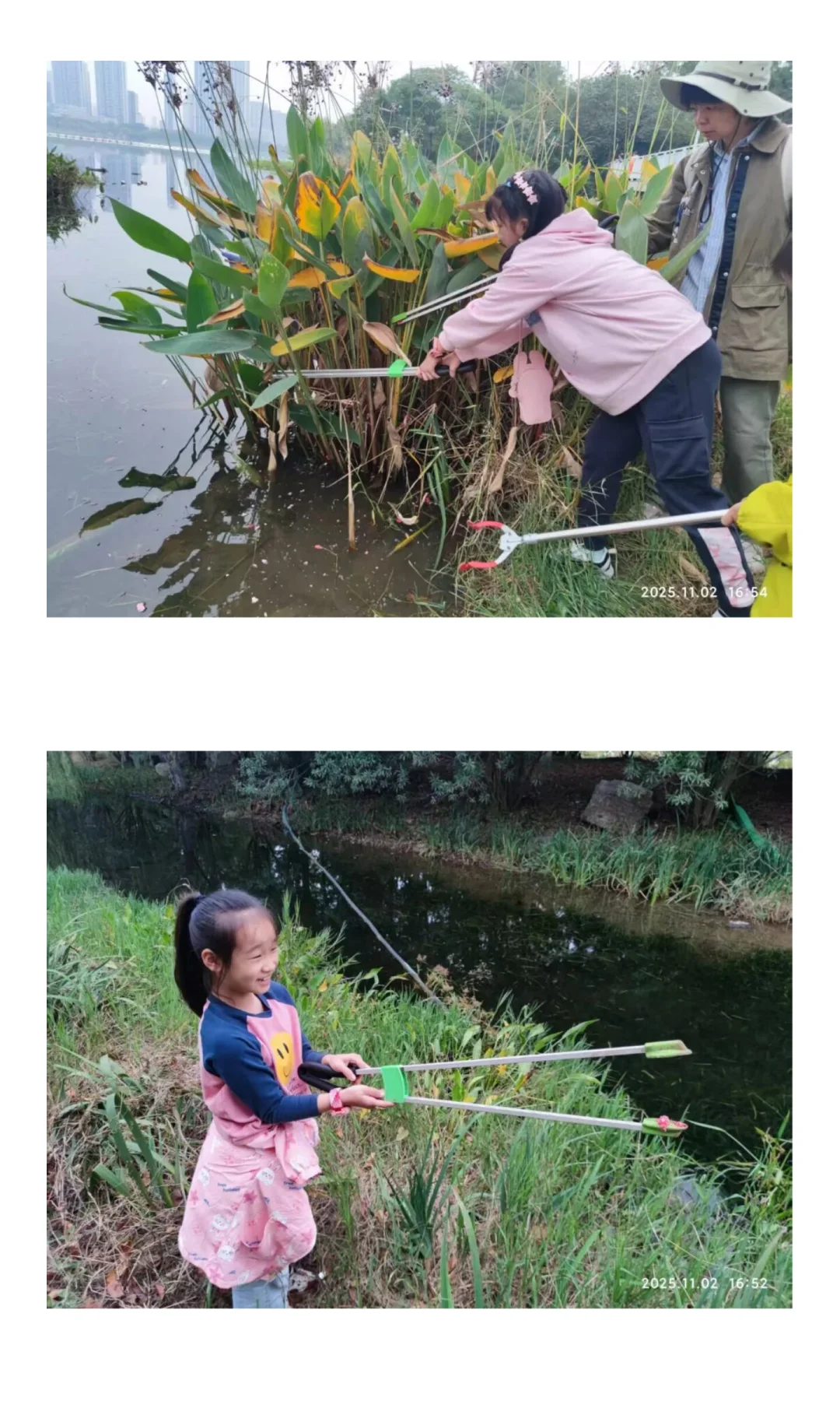 一场与沙湖湿地的相遇，更是一次成长的反思
