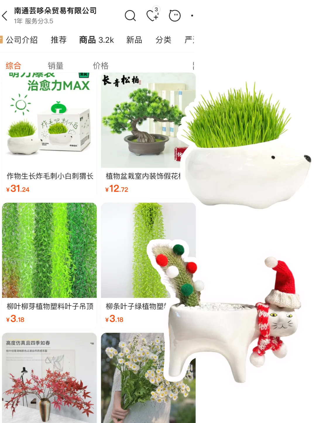 share|5⃣️家小众创意盆栽?货源店铺