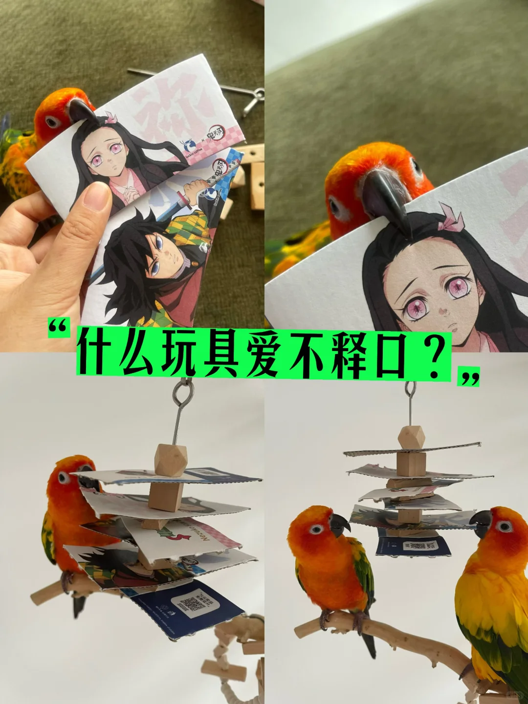 不花钱的DIY鹦鹉玩具，有手就会做