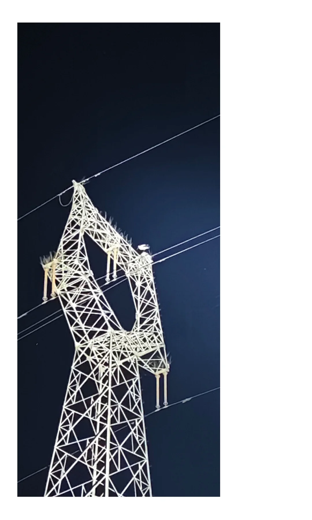 输电线路跳闸的主要原因