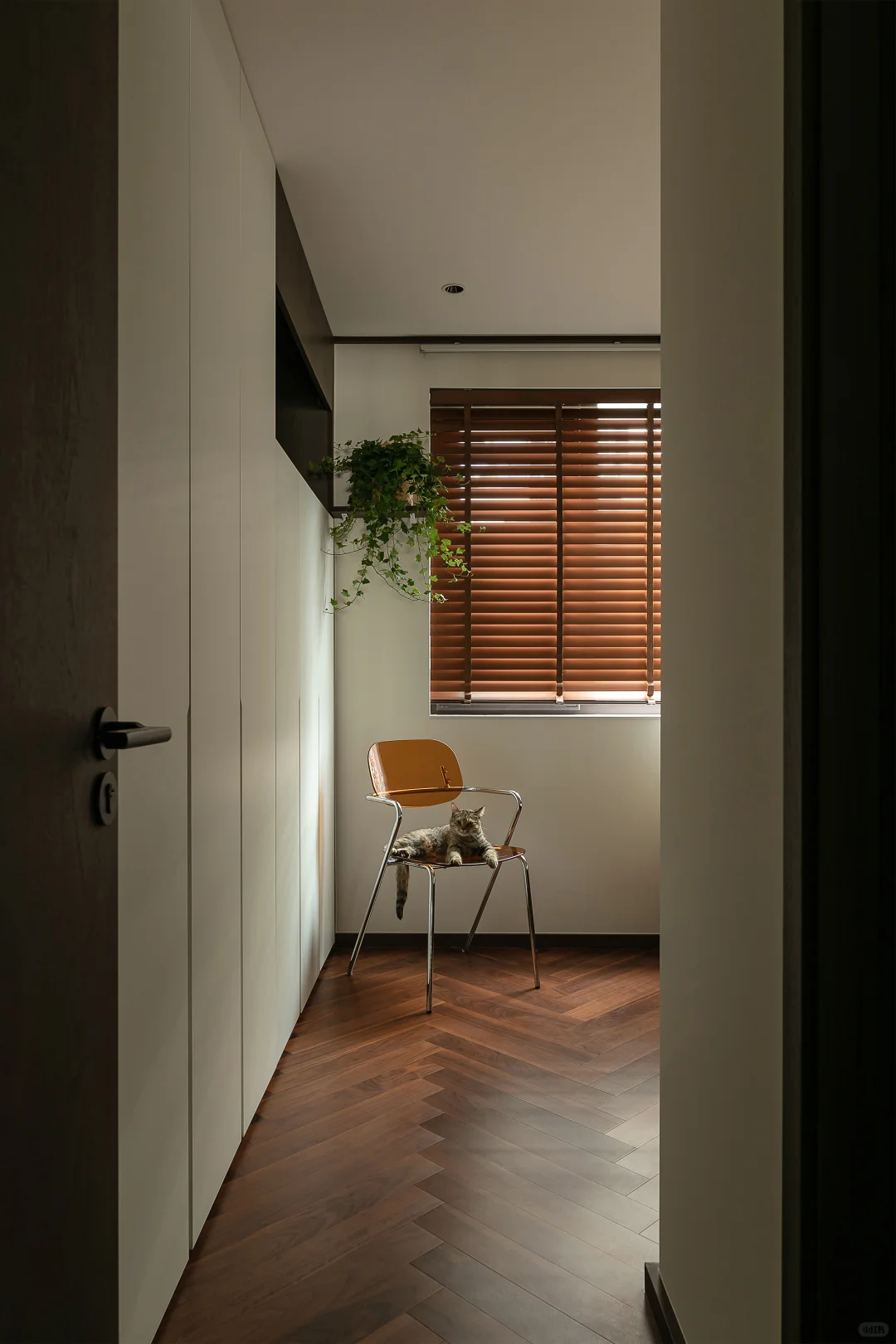 老公房逆袭！一人两猫的森系混搭共生小家