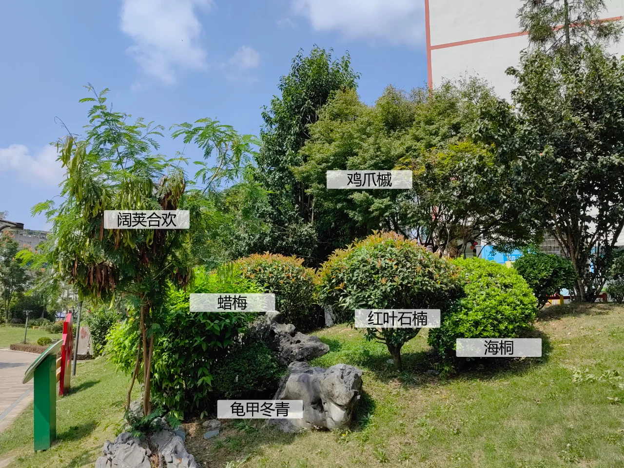 园林植物配置实景