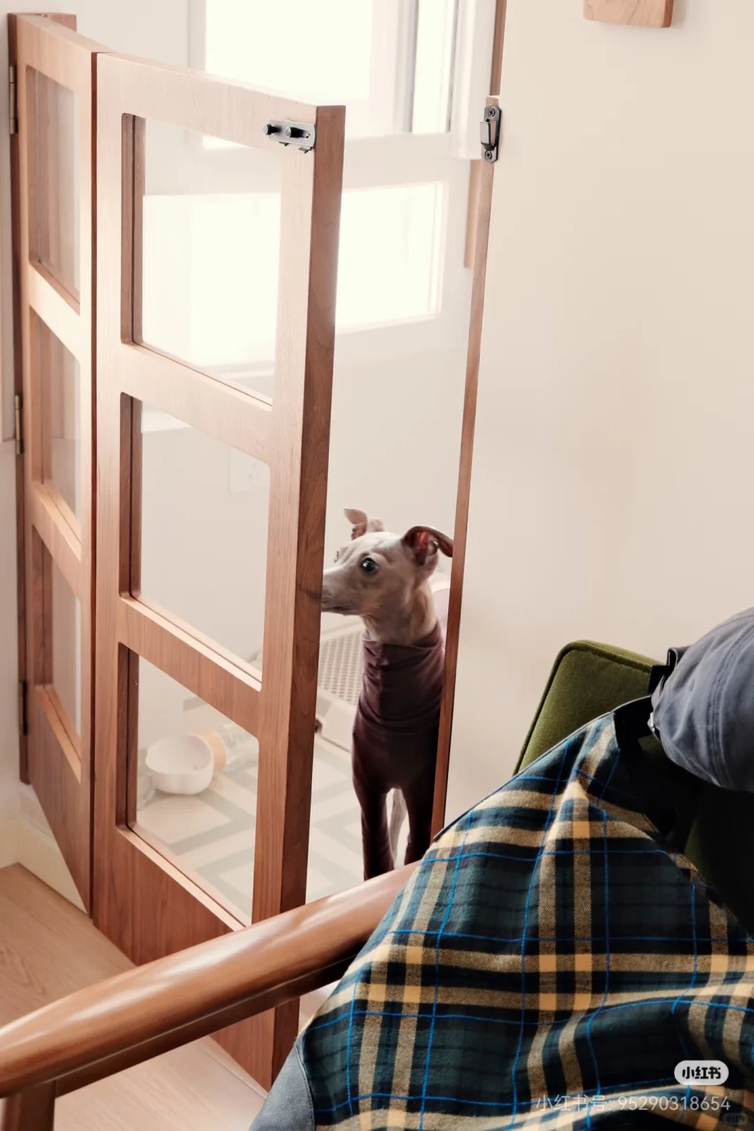 为狗狗设计的家中小角落