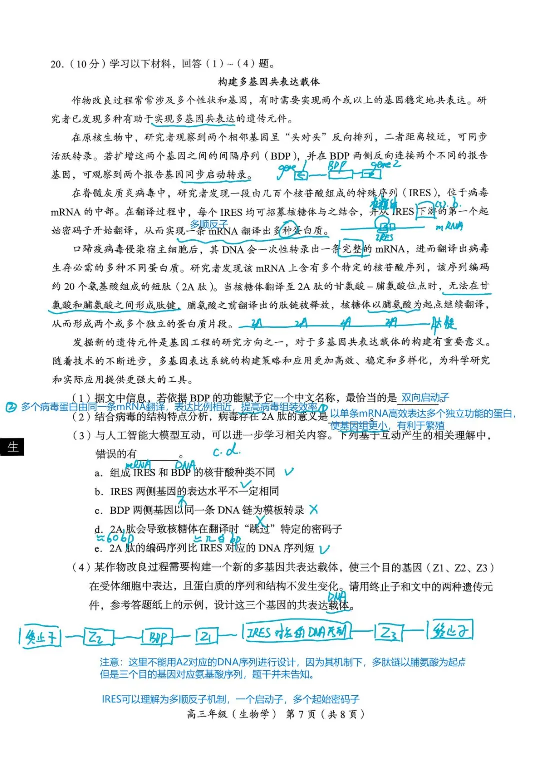 2025-2026北京海淀期中高三生物全解析版