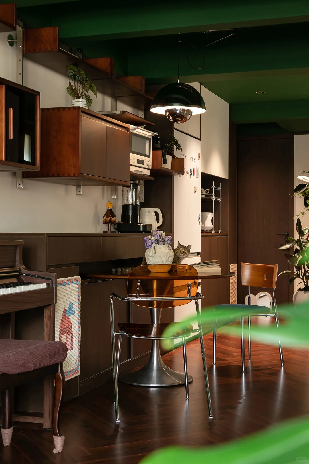 老公房逆袭！一人两猫的森系混搭共生小家