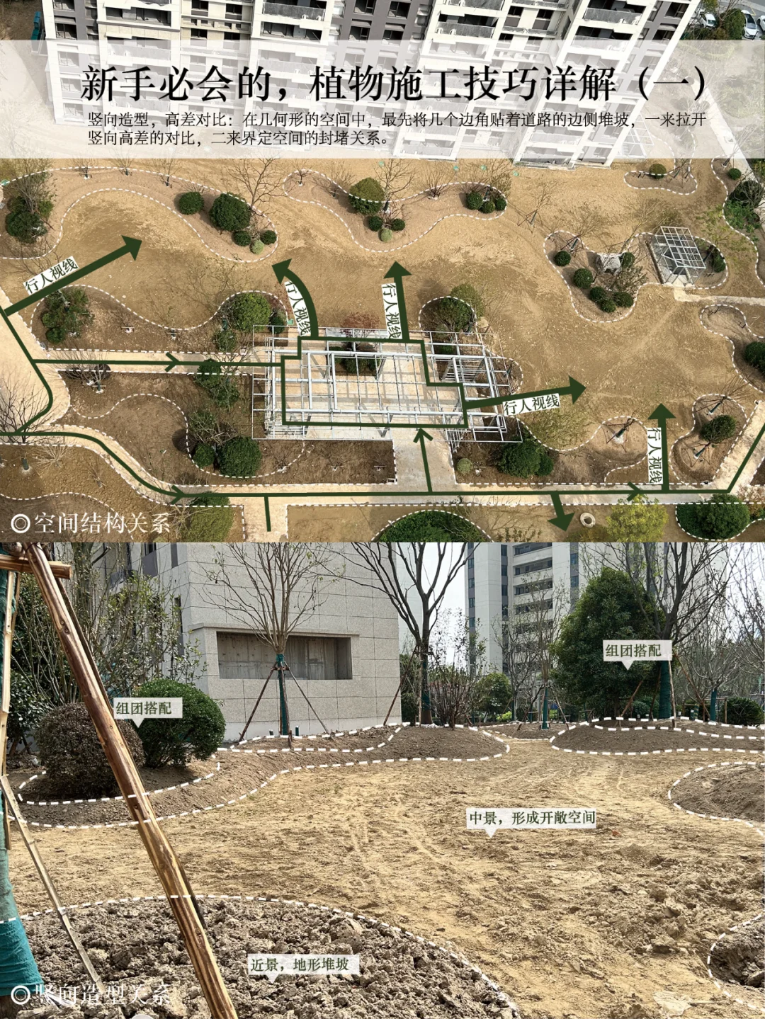 新手必会的，植物施工技巧详解（一）