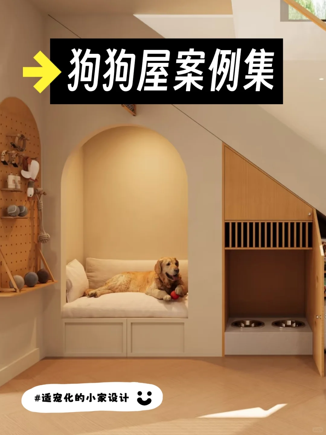 为狗狗设计的家中小角落