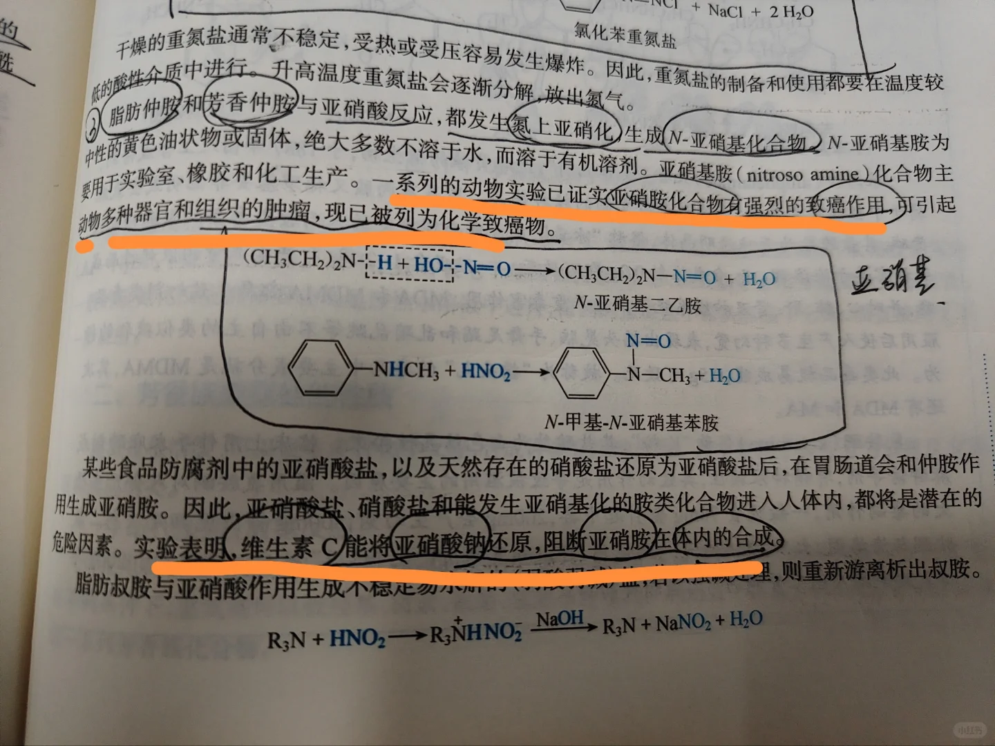 请每天坚持吃维C