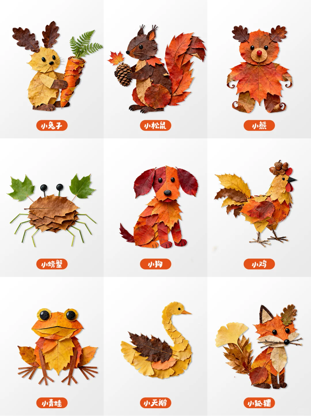 捡到五颜六色的秋天?做成秋日手帐