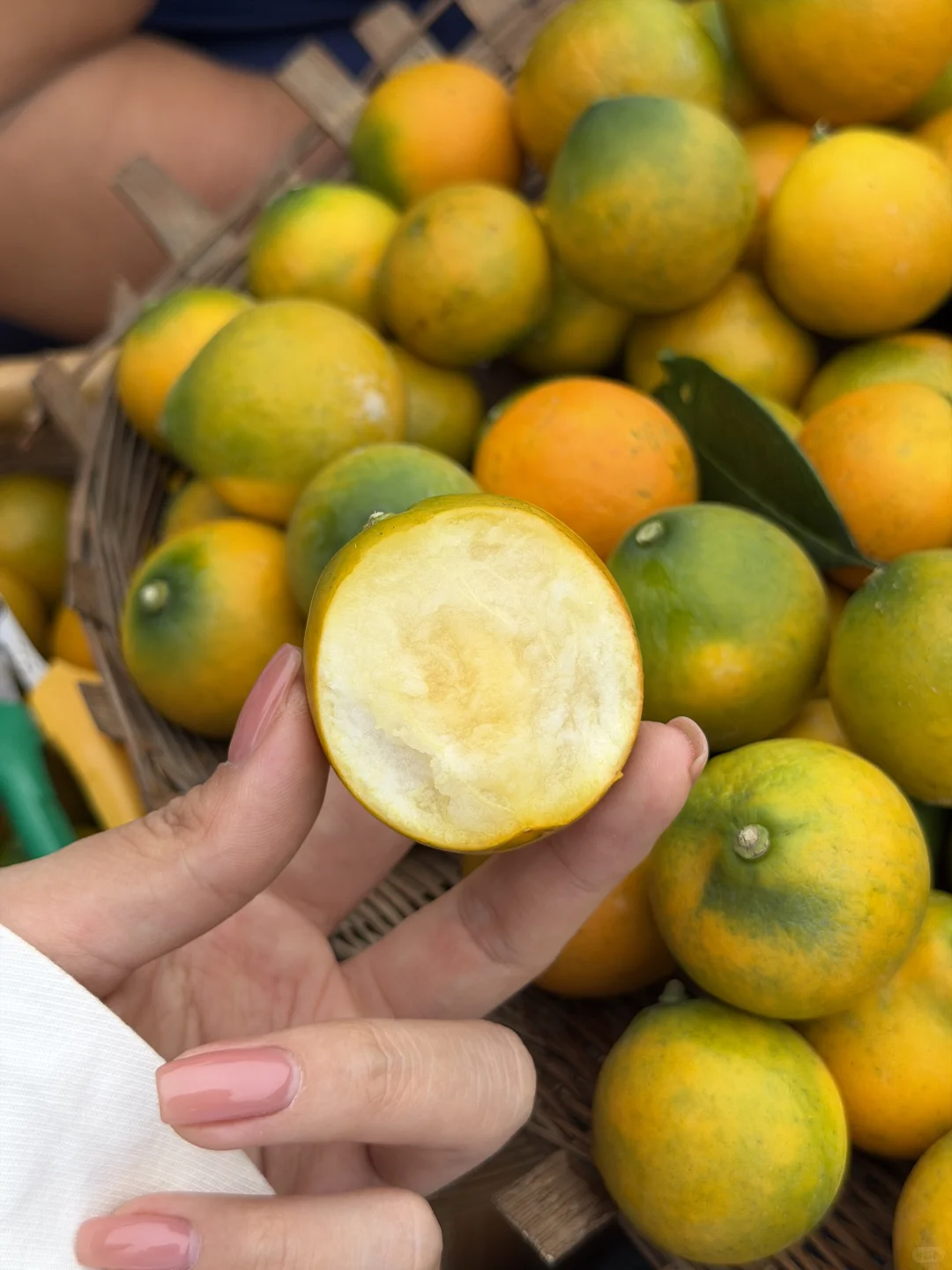 没有中间商，每一颗都是妈妈的爱❤️