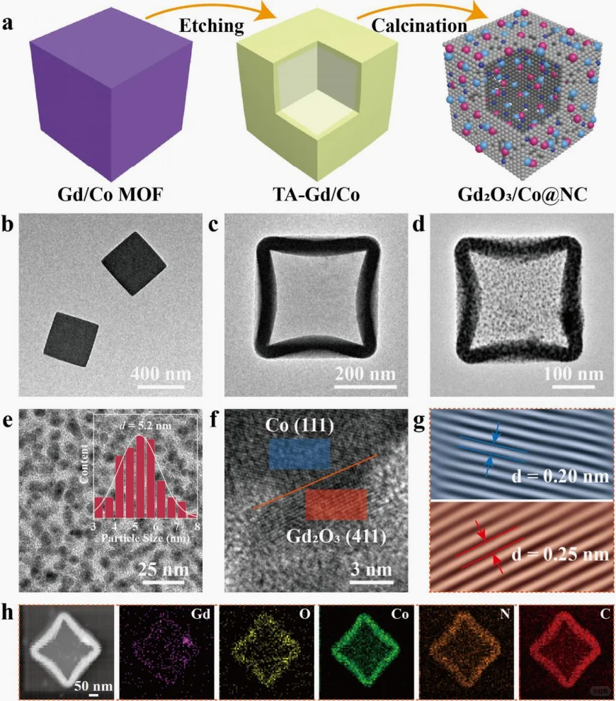 文献精读分享20