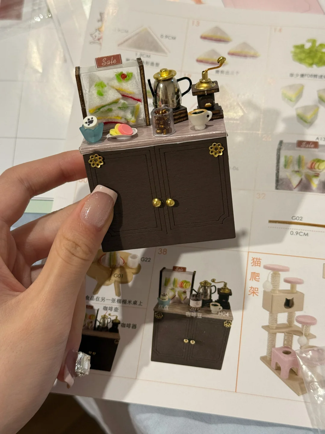 猫咖花园我拼！！！！