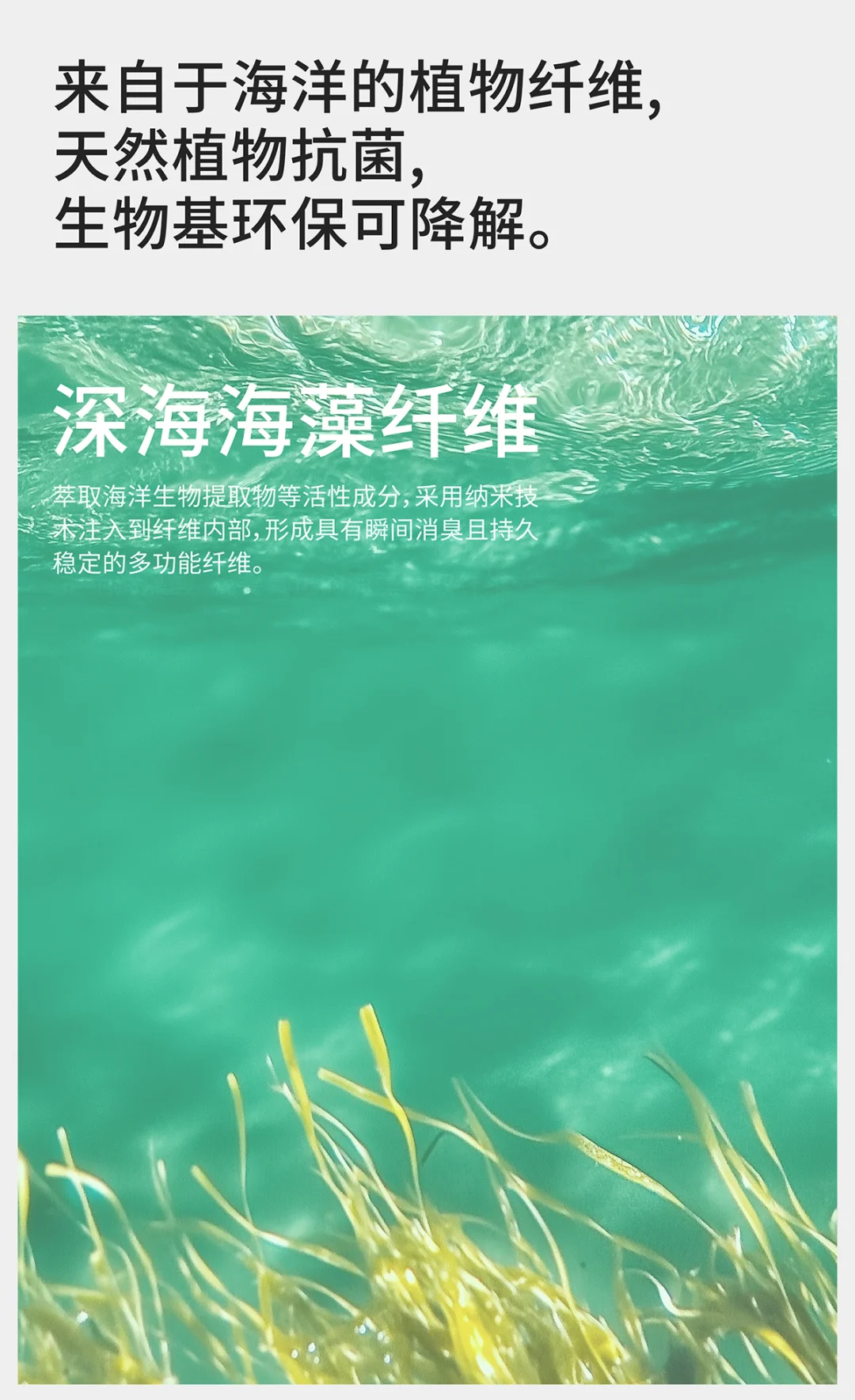 ?深海秘境，予足温柔守护