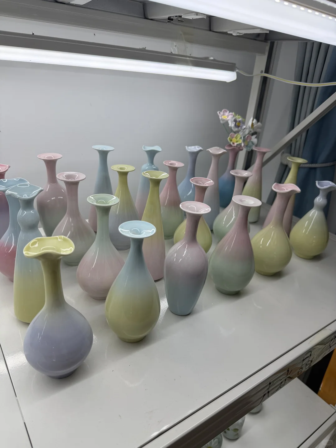 可选款！10块钱7朵！量大10块钱8朵！