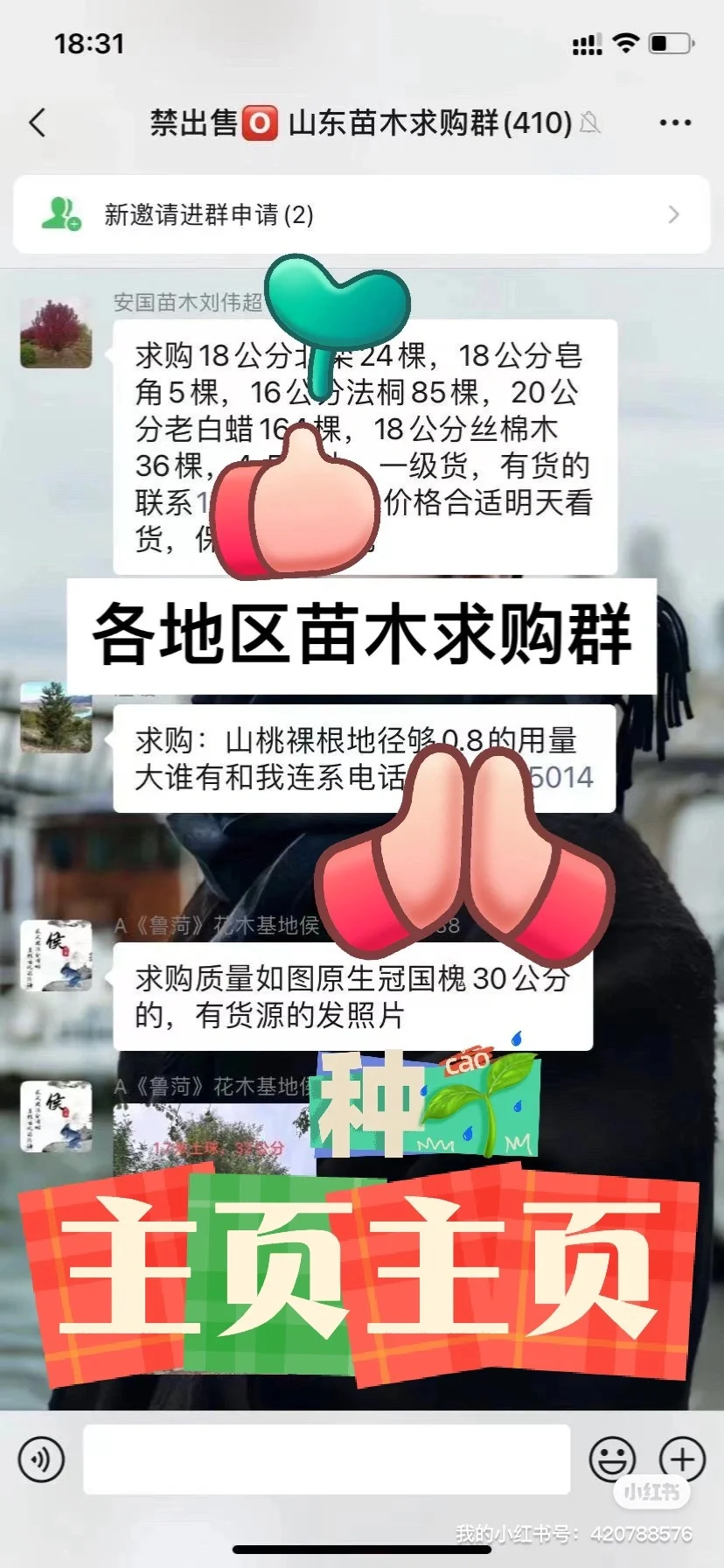 各地区苗木求购群，苗木旺季，资源人脉很好，