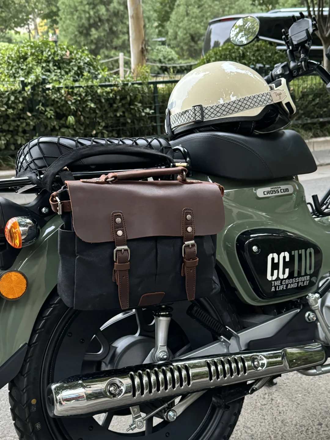 绿色本田幼兽改装清单