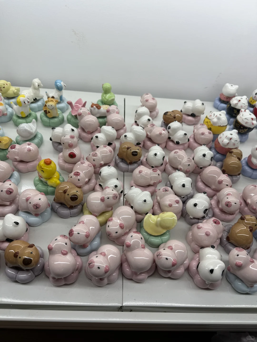 可选款！10块钱7朵！量大10块钱8朵！