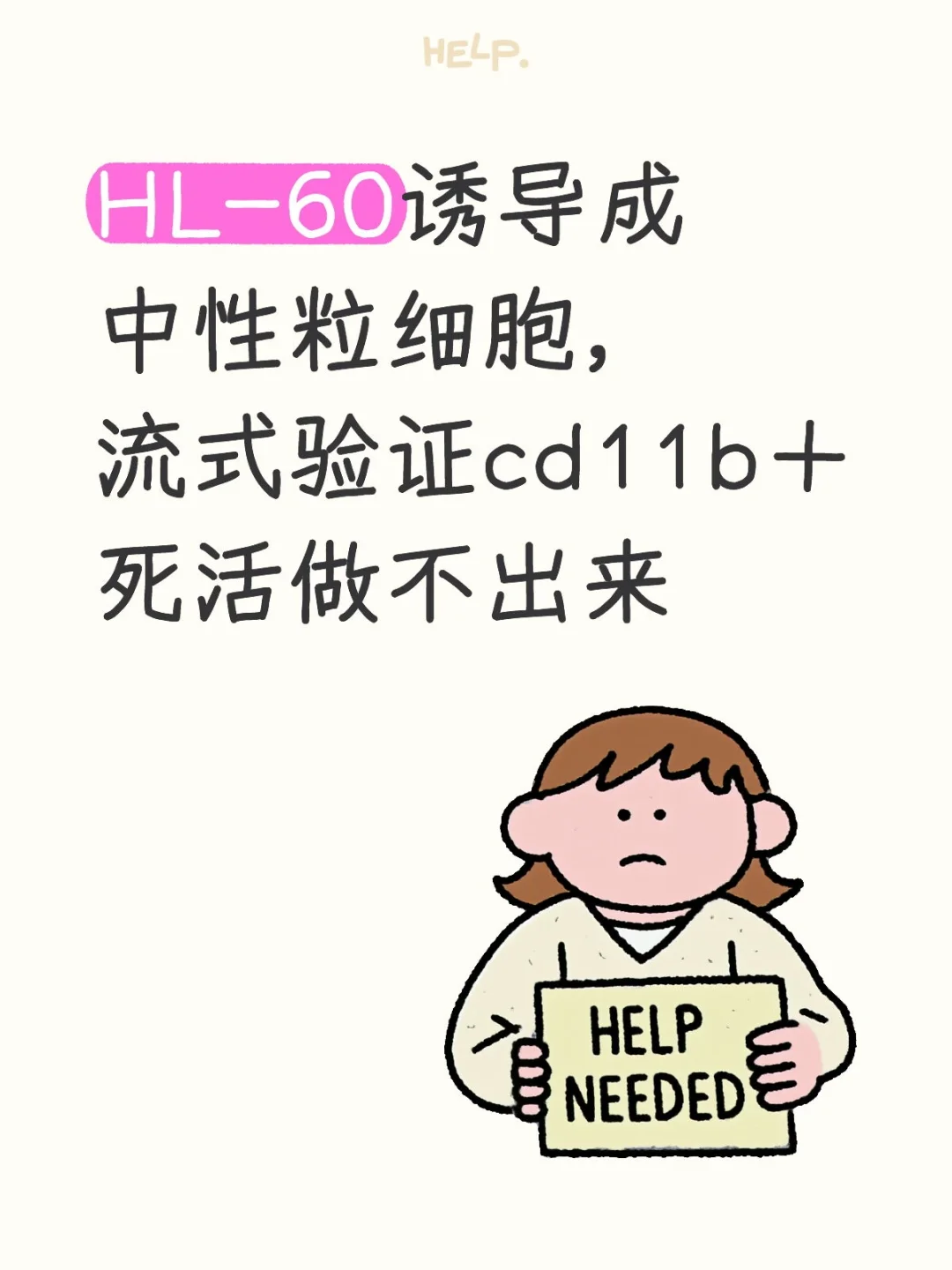 HL-60诱导成中性粒细胞cd11b