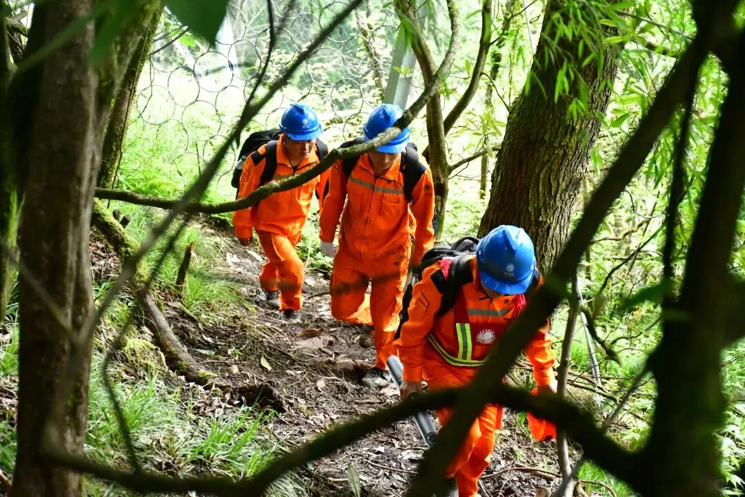 无经验小白逆袭，电力高薪铁饭碗