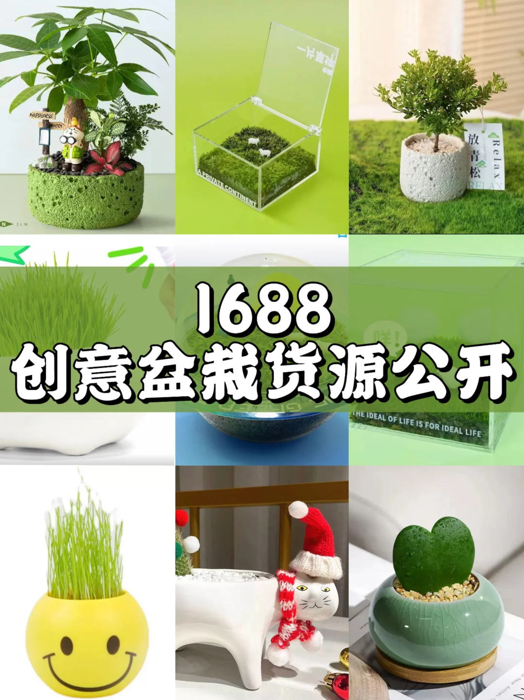 share|5⃣️家小众创意盆栽?货源店铺