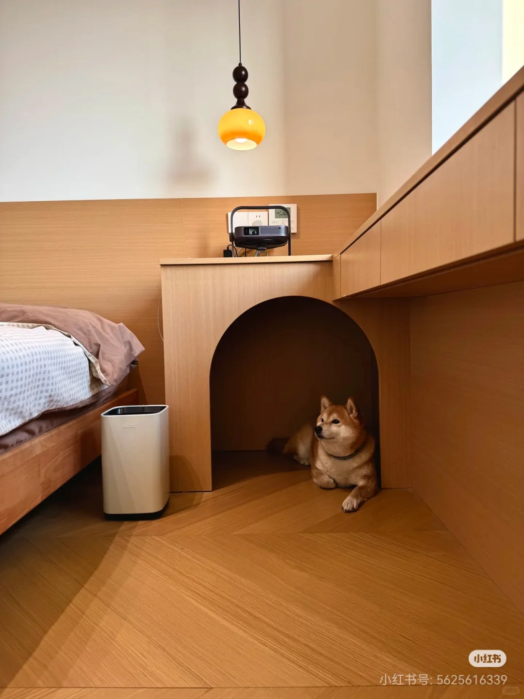 为狗狗设计的家中小角落