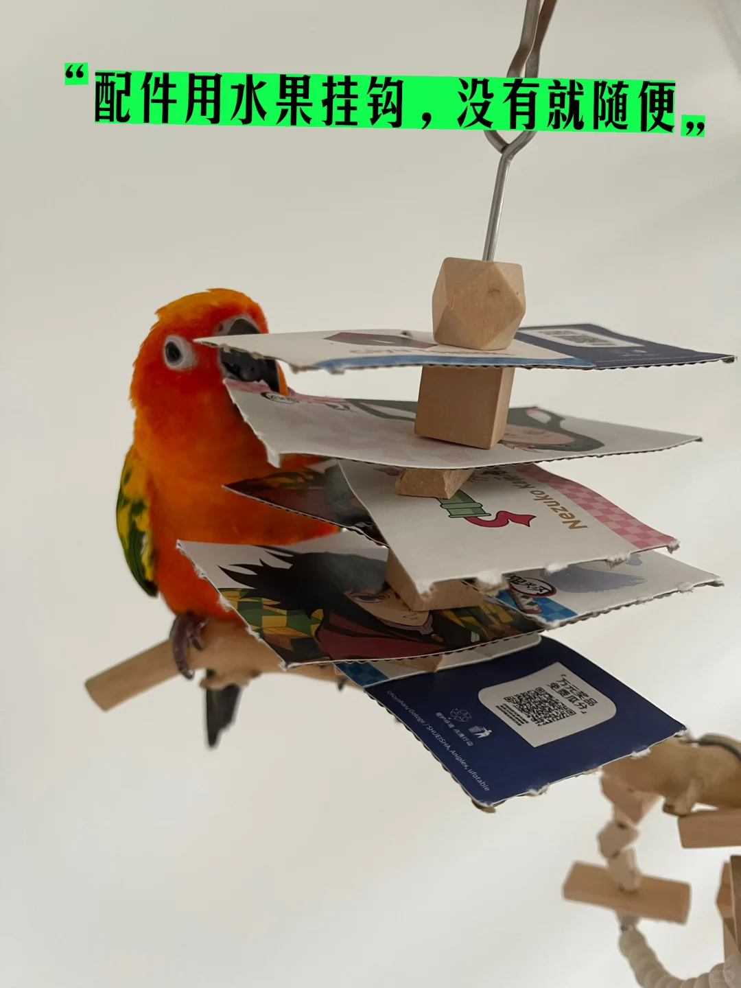 不花钱的DIY鹦鹉玩具，有手就会做