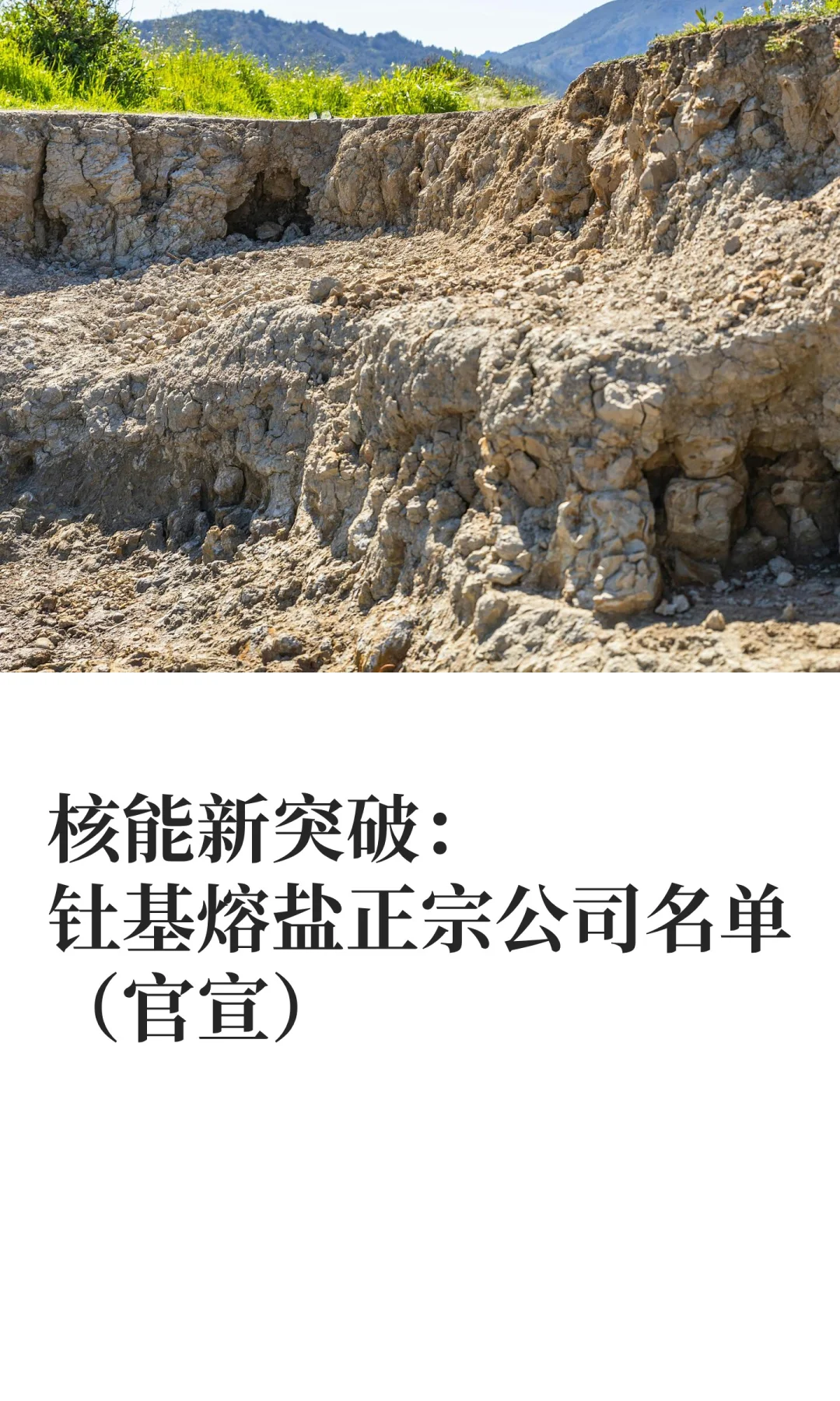 核能新突破：钍基熔盐正宗公司名单（官宣