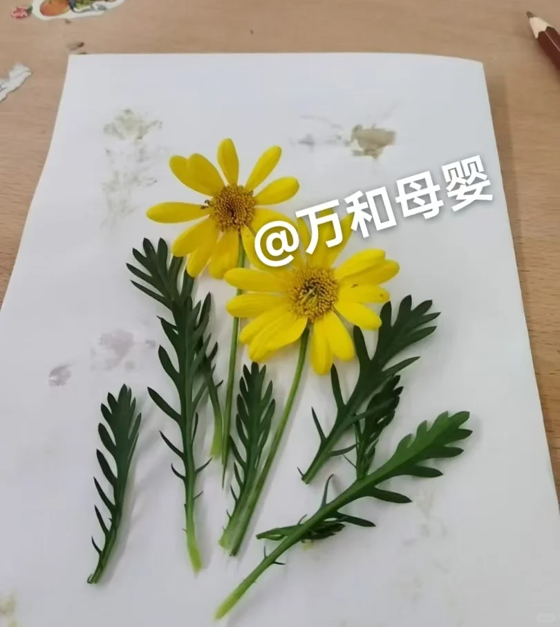  雇主好评阿姨！辅食不重样+蒙氏早教