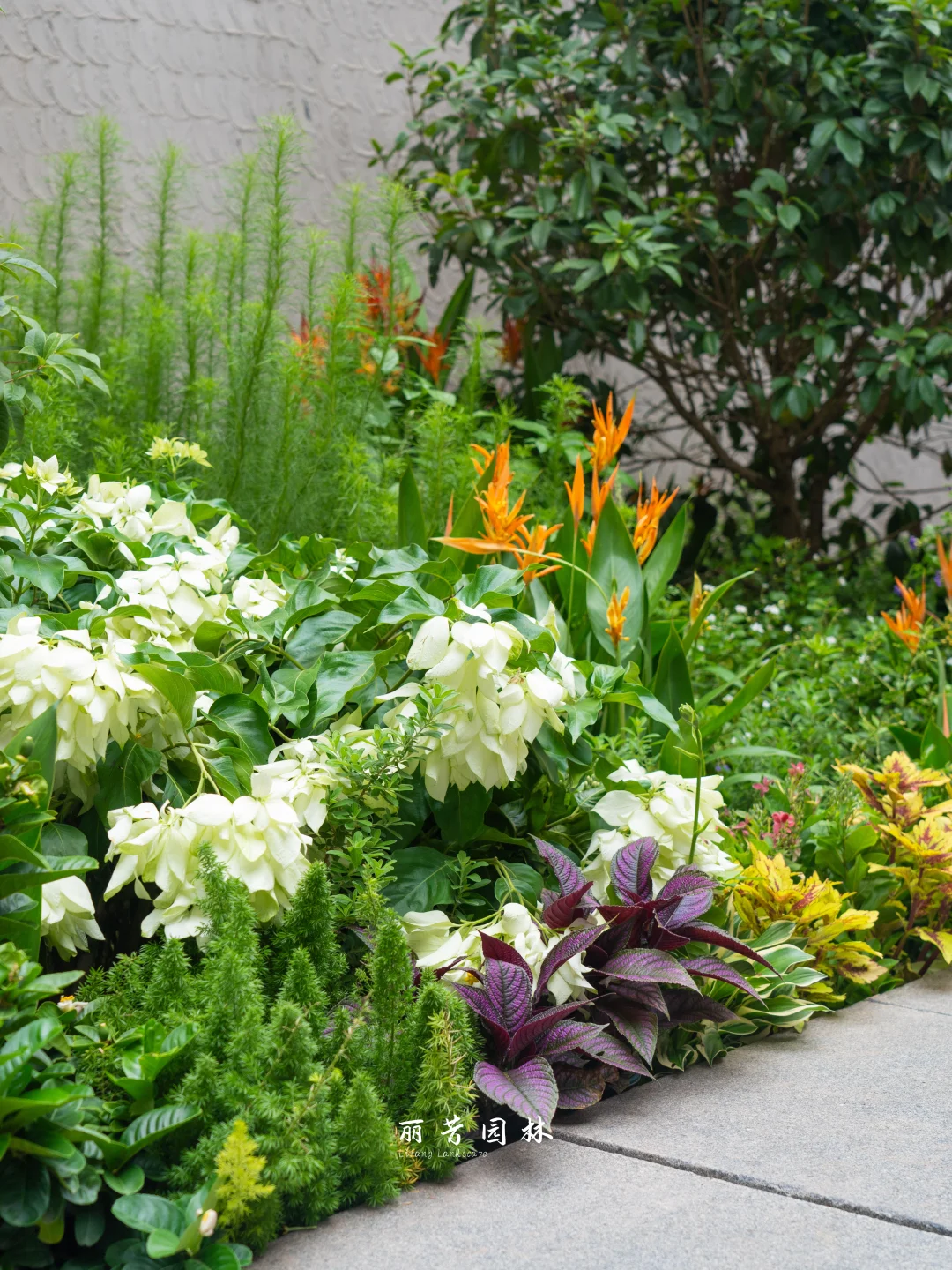 如何拥有层次丰富且易维护的长效花境景观？