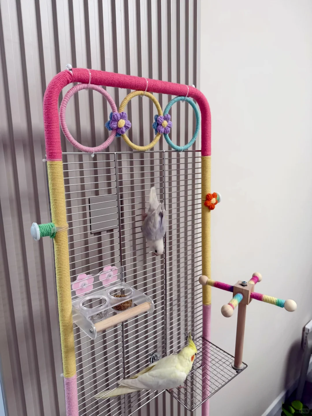 鹦鹉乐园，手工DIY鹦鹉鸟架