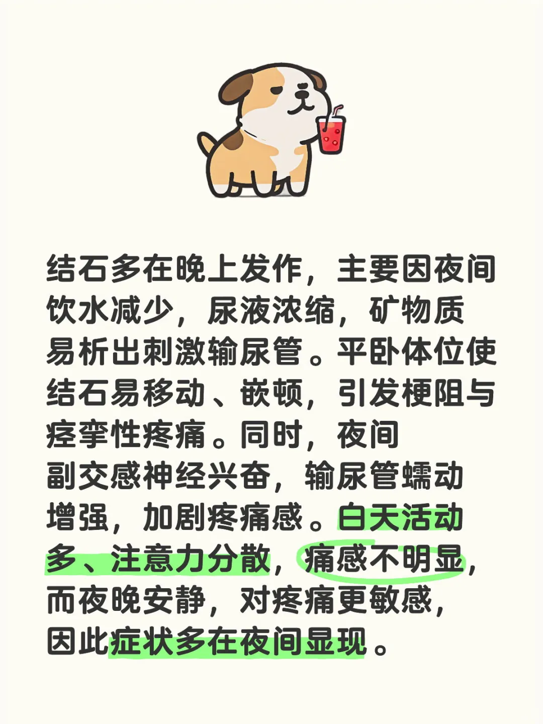 为什么结石都是晚上发病多